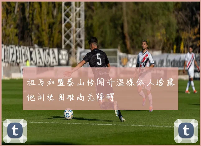 祖马加盟泰山传闻升温媒体人透露他训练困难尚无障碍